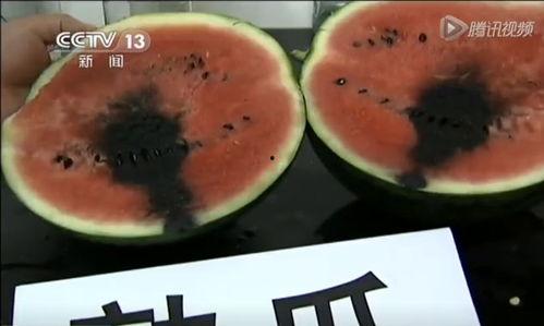 吃瓜娱乐揭秘吃瓜视频,揭秘娱乐圈幕后真相